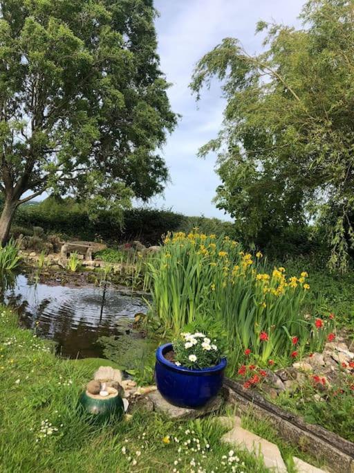 Beautiful Barn Conversion, 3 Bed, Hot Tub, Sauna, Gym, Enclosed Garden Ryde  Bagian luar foto