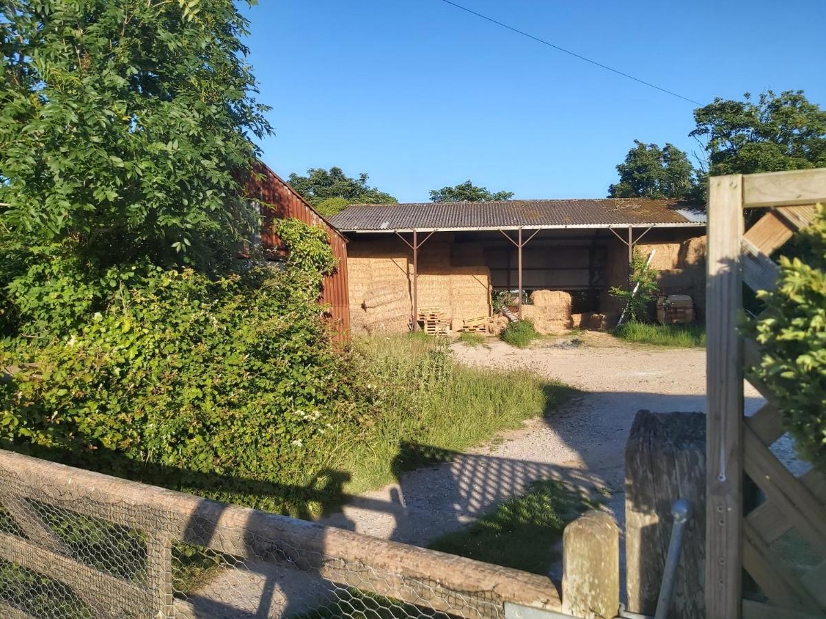 Beautiful Barn Conversion, 3 Bed, Hot Tub, Sauna, Gym, Enclosed Garden Ryde  Bagian luar foto